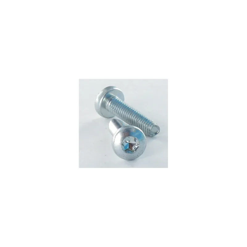 1 x Vis autotaraudeuse tête cylindrique bombée large 3.5X12 TORX T15 Acier zingué