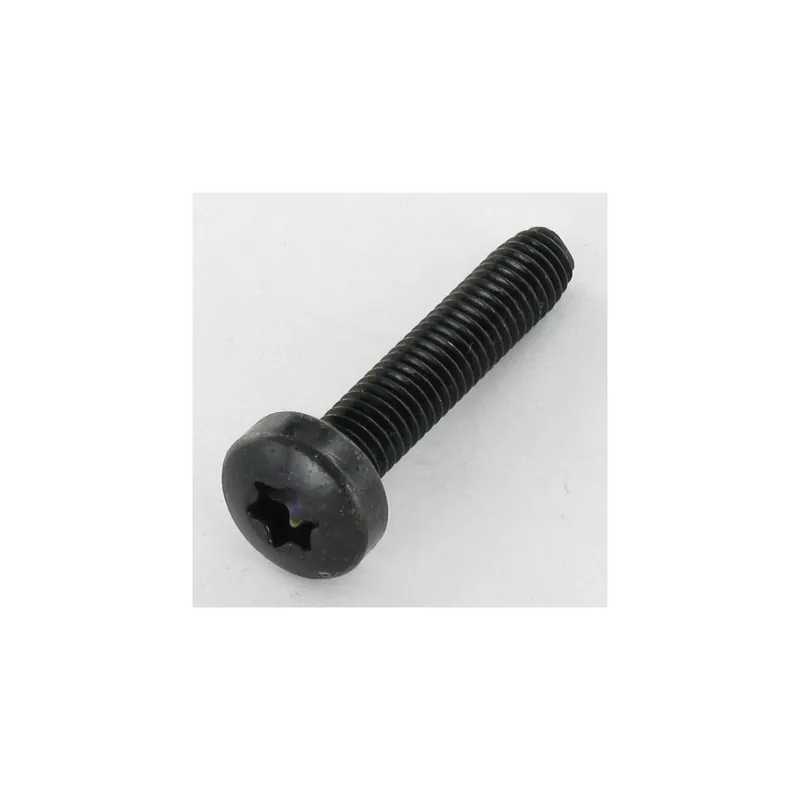 1 x Vis autotaraudeuse tête cylindrique bombée large 4X8 TORX T20 Acier zingué noir