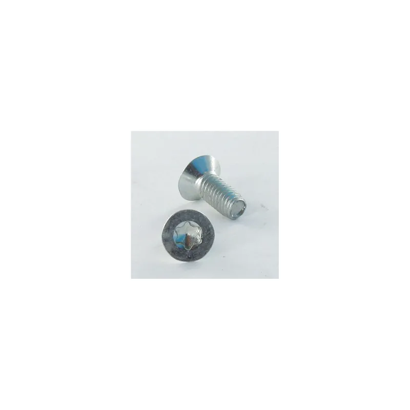 1 x Vis autotaraudeuse Tête fraisée 2.5X8 TORX T8 Acier zingué microvis