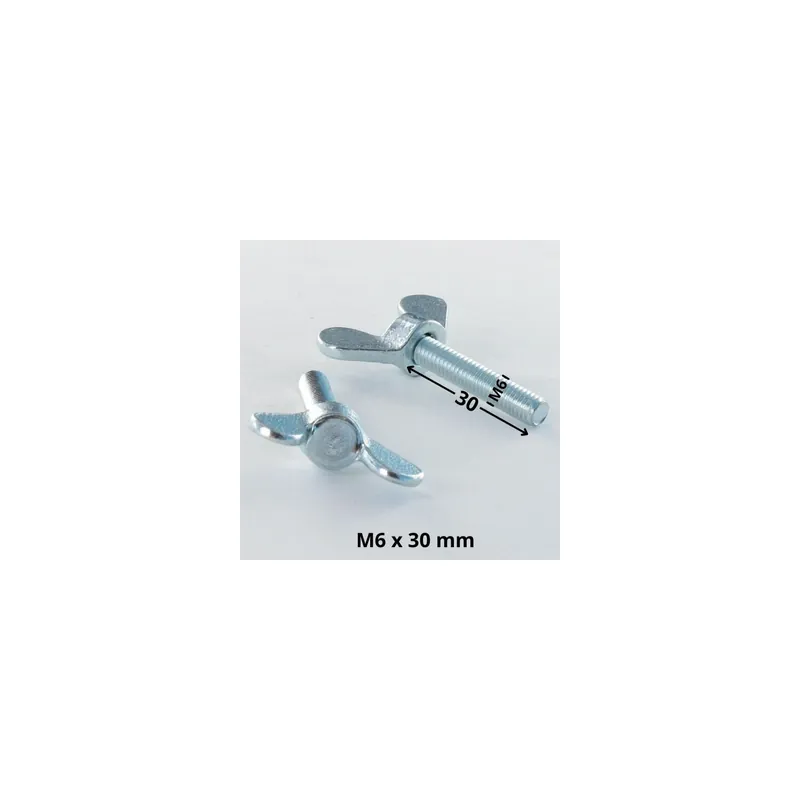 1 x Vis Oreilles M6X30 Acier zingué