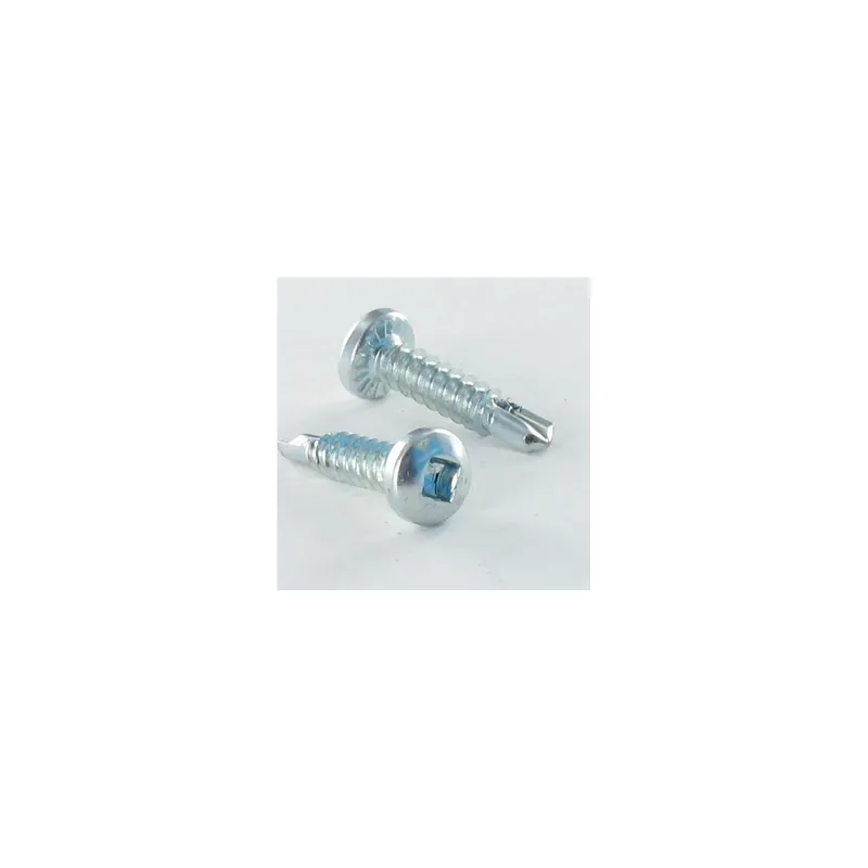 1 x Vis autoperceuse Tête cylindrique TC Empreinte carré 2 4.8X13 Acier zingué Avec 1 Embout Longueur 50