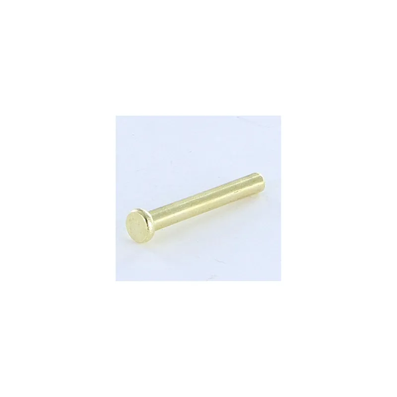 1 x Rivet à frapper Tête plate 2.6X20 Diamètre de tête 4.5 EP1.2 Acier laitonne