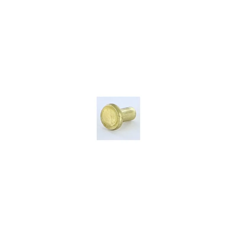 1 x Rivet à frapper Tête plate 3X5.5 Diamètre de tête 5.5 EP1.3 Laiton