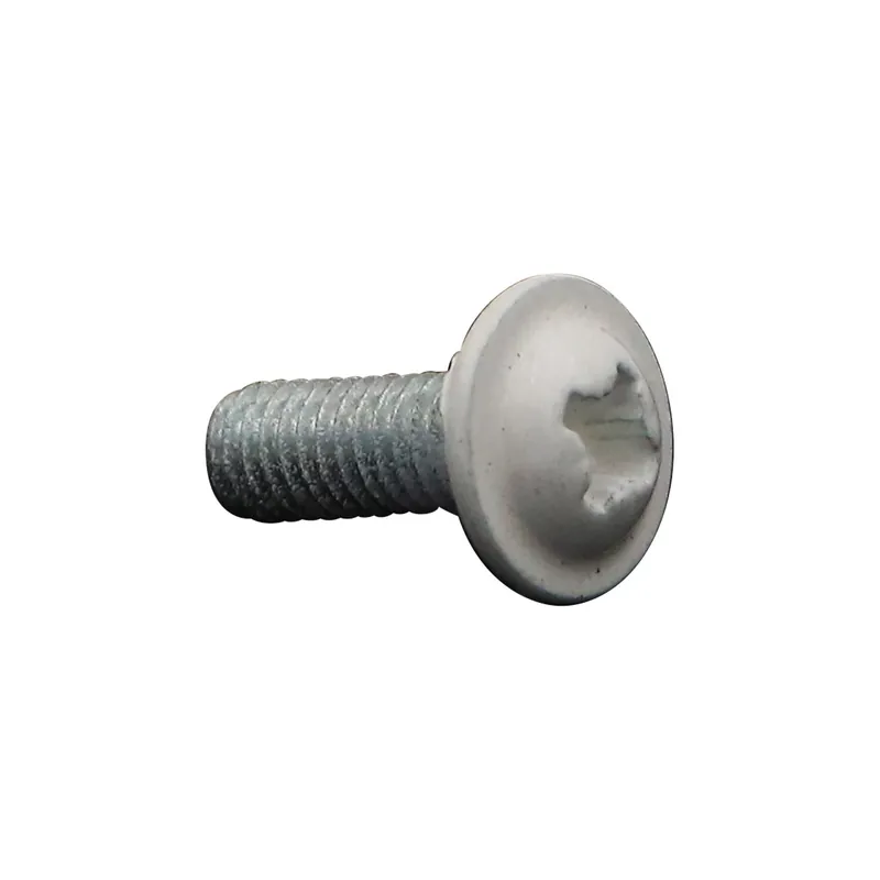 1 x Vis Poelier Pozi M6X16 Acier zingué RAL9010 blanc pur