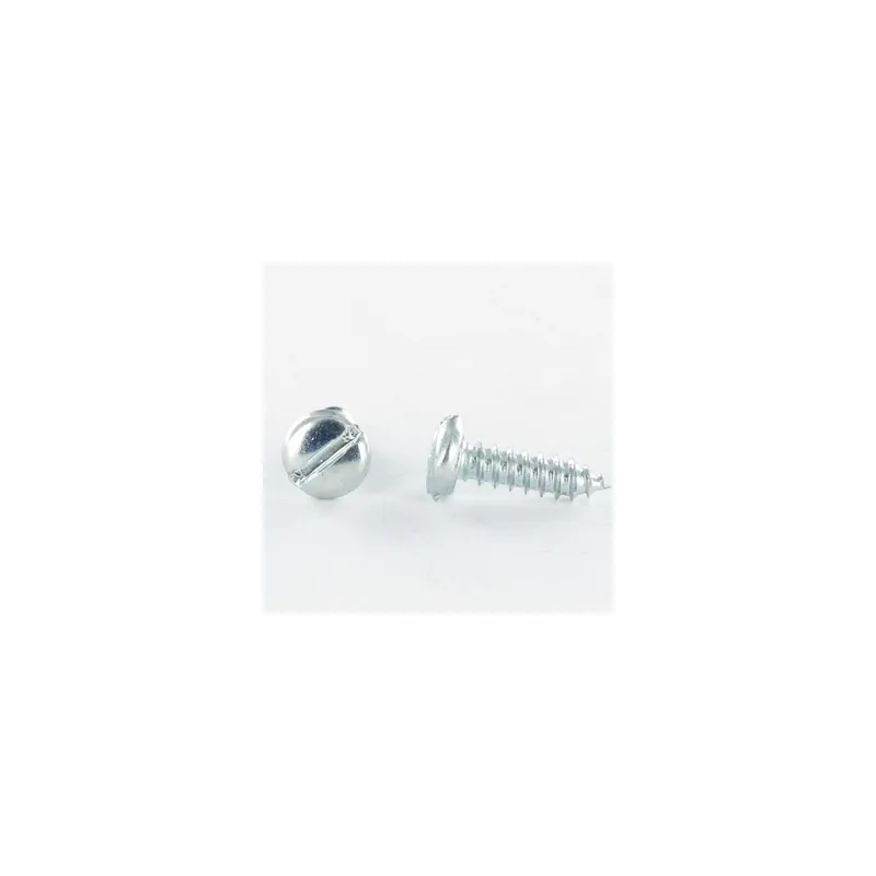 1 x Vis tôle Tête cylindrique TC Fendue 3.9X25 Acier zingué