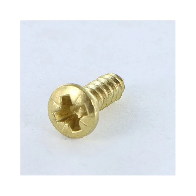 1 x Vis tôle Tête fraisée bombée TFB Pozi 2.9X13 Acier laitonne