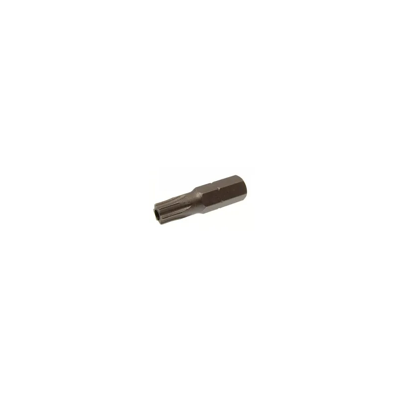 1 x Embout Inviolable TORX T15