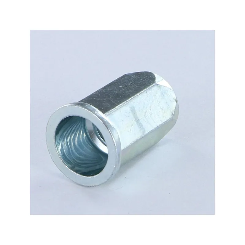 1 x ECR à sertir HEX Tête plate TP M6X13.3 ACPTH 30 Acier zingué