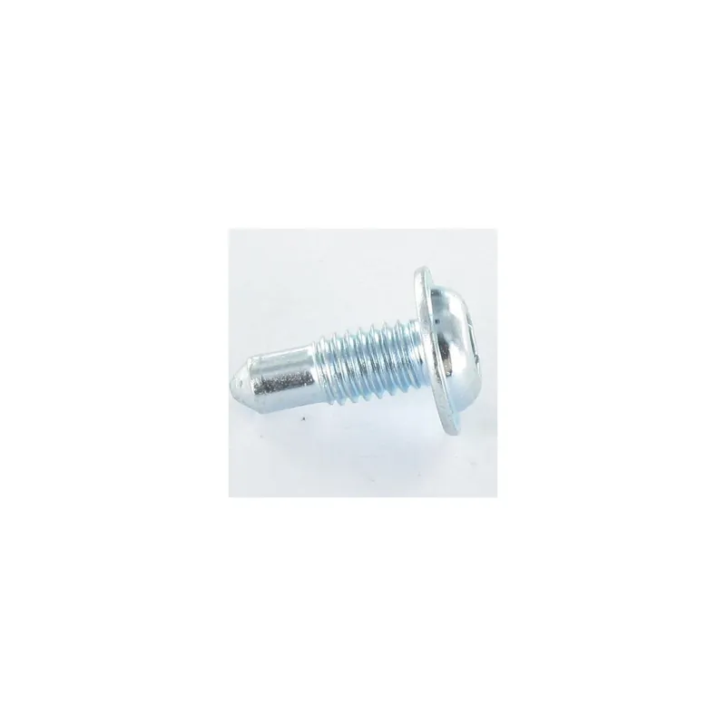 1 x Vis métaux Tête ronde large TORX T30 M6X12 Classe 10.9 Acier zingué
