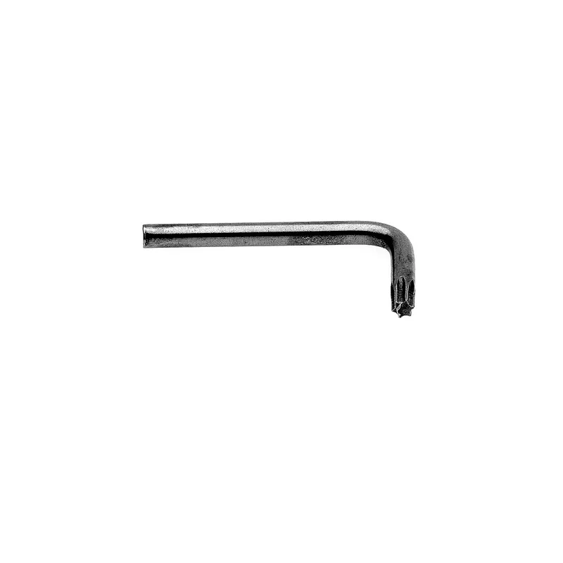 1 x Clé Pour Vis Inviolable TORX T30 Acier brut