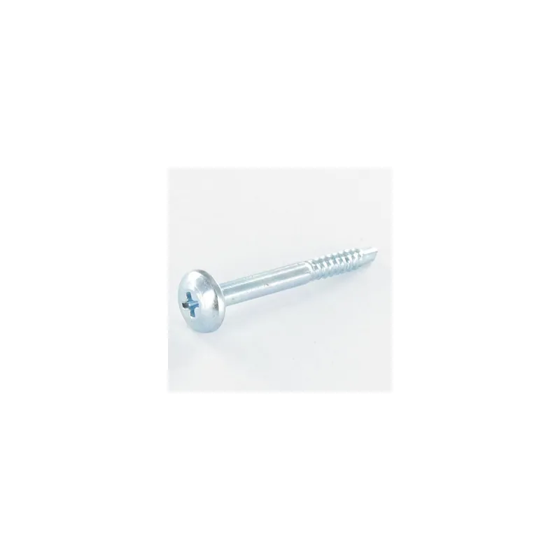 1 x Vis autoperceuse Tête cylindrique bombée TCB Phillips 2.9X29 Acier zingué
