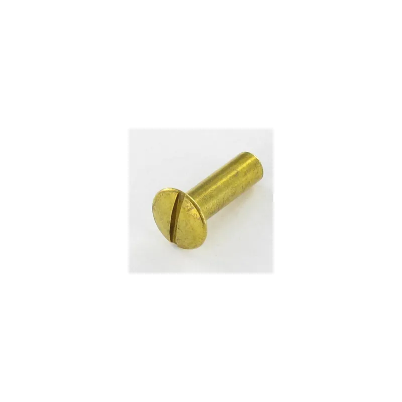 1 x Ecrou Relieur Tête fraisée bombée TFB Fendue M4X13 5.4X19 Laiton