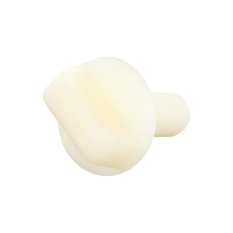 1 x Vis VIOLON Nylon M10X25 Type à
