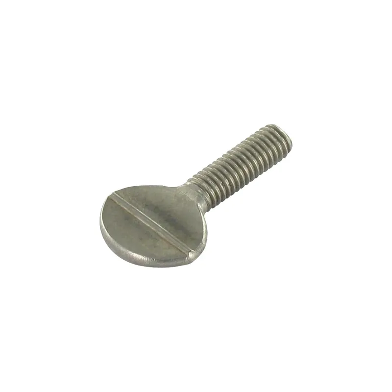 1 x Vis VIOLON M4X10 Inox A2