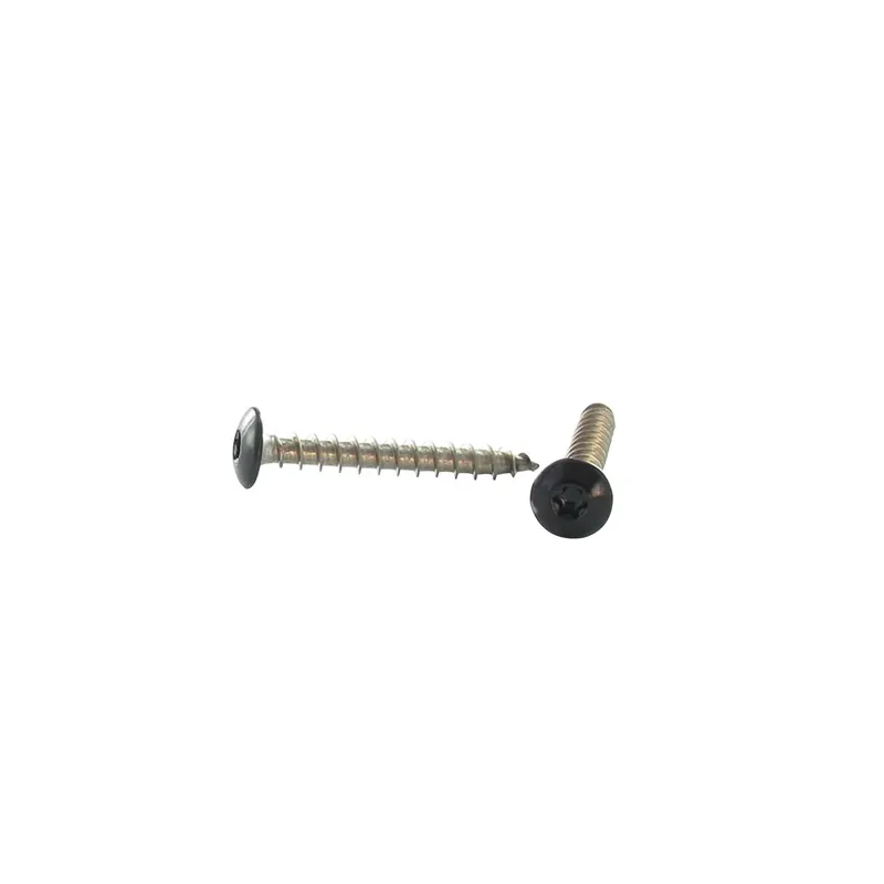 1 x Vis Penture 6X25 Filetage total TORX T30 Inox A2 Laqué noir RAL9005 noir foncé