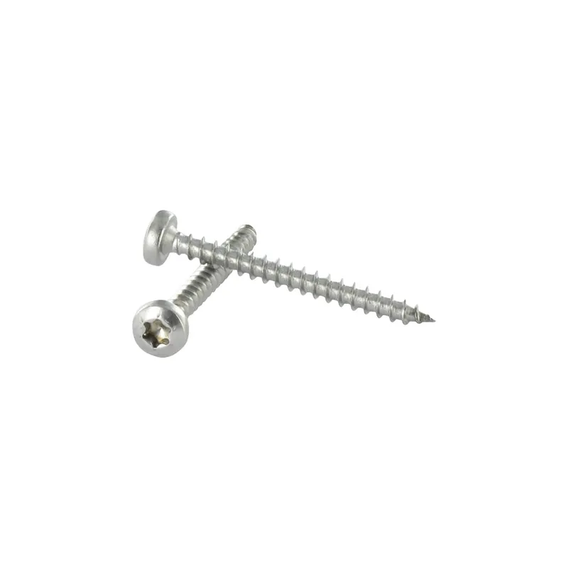 1 x VBA Vis bois agglo Inox A2 Tête ronde TR 3X25 Filetée sur 17 TORX T10 microvis