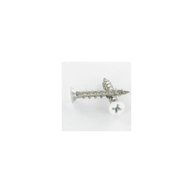 1 x Vis pvc Inox A2 Tête fraisée bombée TFB Phillips 4.2X25 Laqué blanc RAL9010 blanc pur