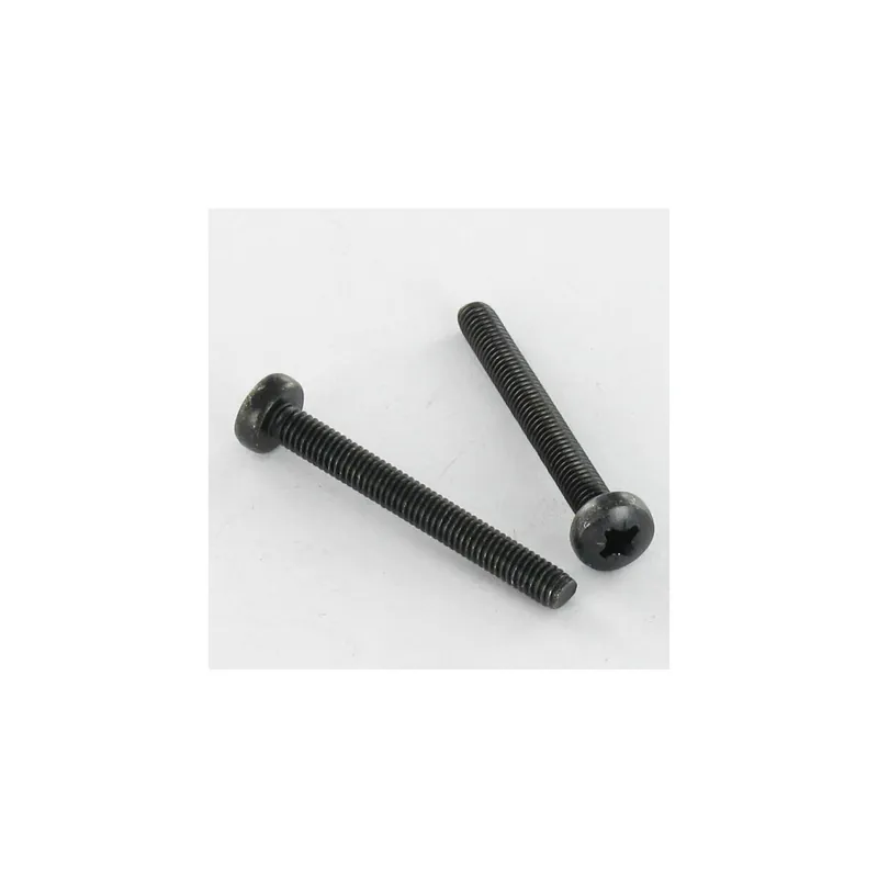 1 x Vis métaux Inox A2 tête cylindrique bombée large Pozi N°2 M5X20 Noir
