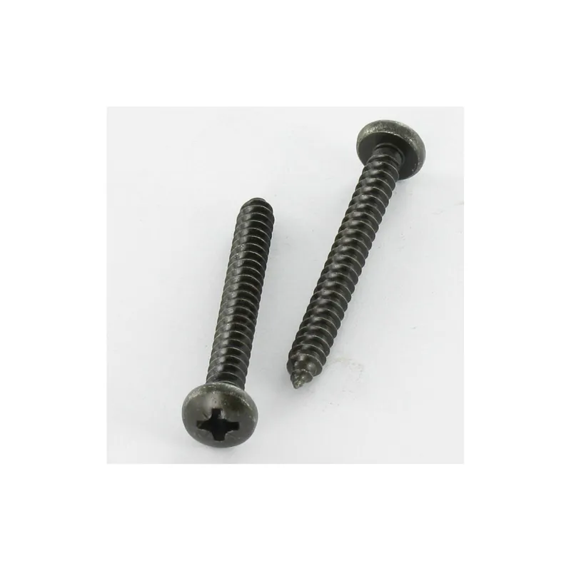 1 x Vis tôle Inox A2 tête cylindrique bombée large Pozi 2.9X13 Noir