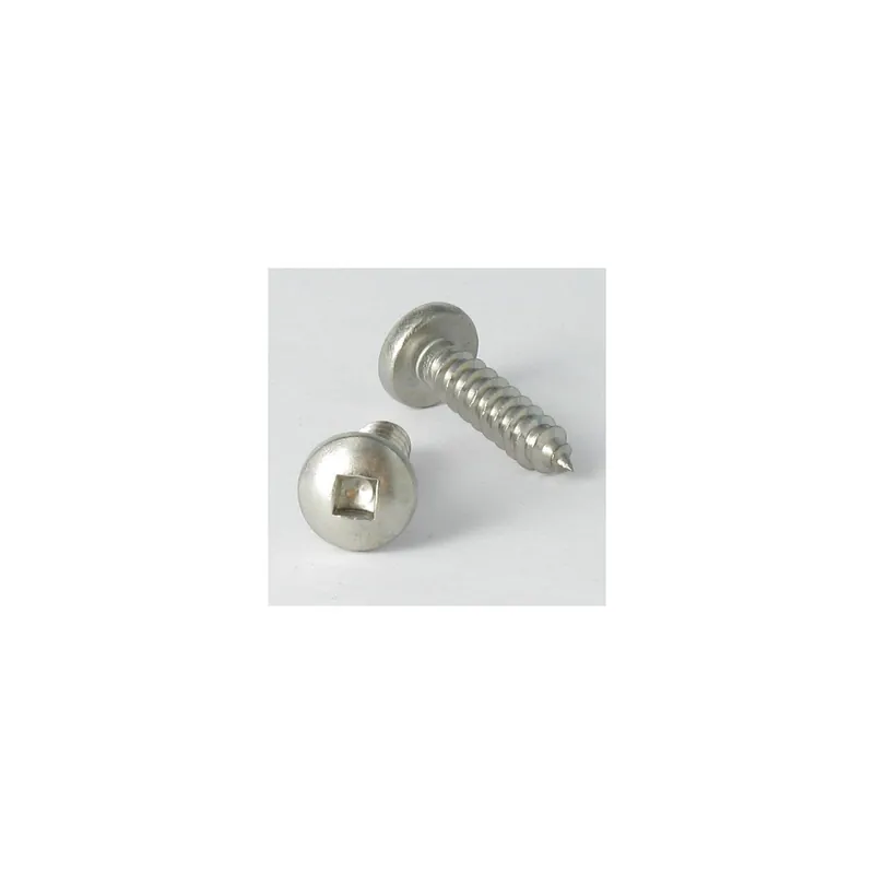 1 x Vis tôle Tête cylindrique TC Carré 4.8X13 Empreinte carré 2 Inox A2