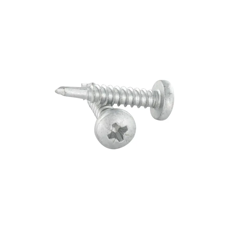 1 x Vis autoperceuse Tête cylindrique TC Pozi 4.8X25 Inox AISI 410