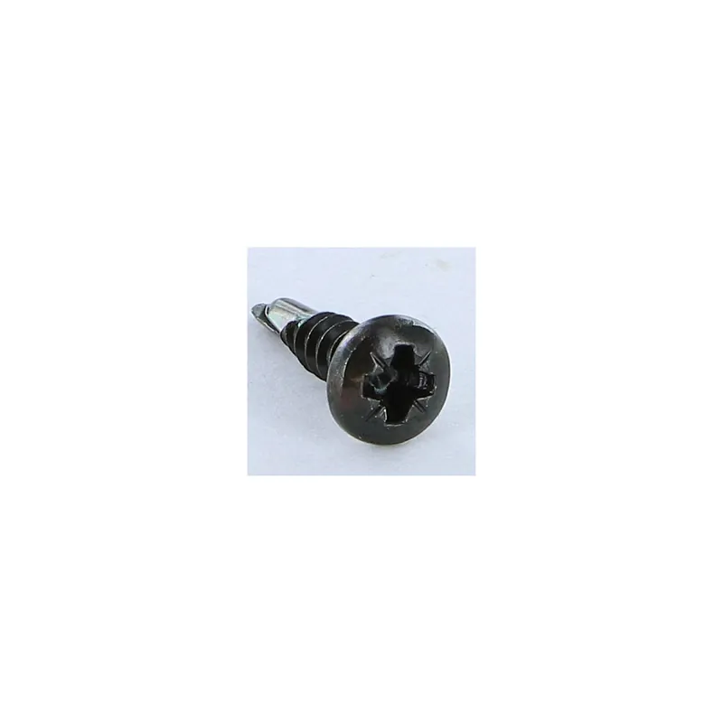 1 x Vis autoperceuse Inox A2 Noir Tête cylindrique bombée TCB Pozi 3.5X13