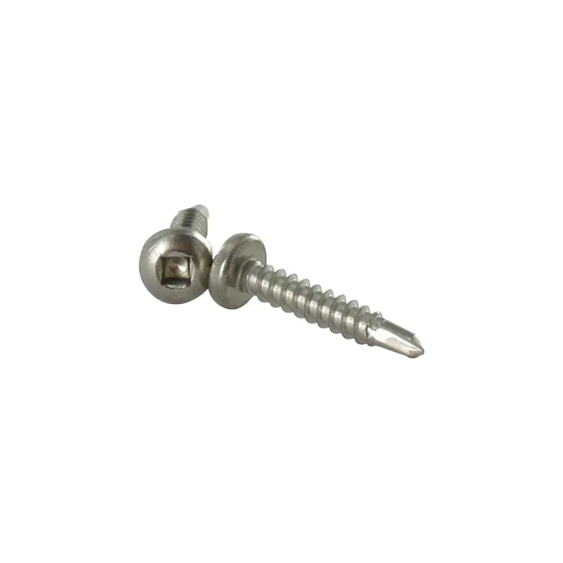 1 x Vis autoperceuse Tête cylindrique TC Carré 3.9X19 Empreinte carre 1 Inox A2