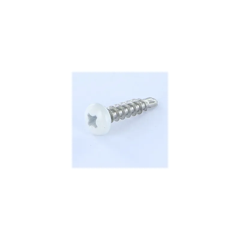 1 x Vis autoperceuse Tête cylindrique TC Pozi FIL AGLO 5X22 Inox A2 RAL9010 blanc pur
