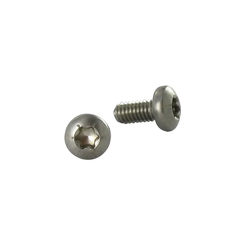 1 x Vis autotaraudeuse Inox A2 Tête cylindrique bombée TCB TORX 4X8 TORX T20