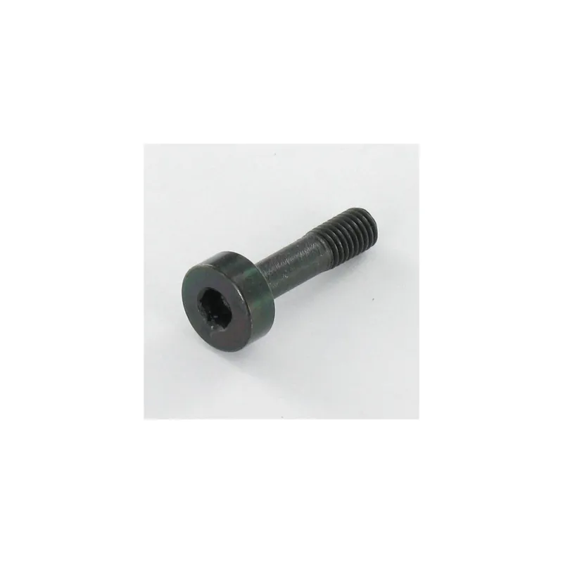 1 x Vis métaux Inox A2 PASSIV Noir Clé de 4 HC4 CHC BTR M5X20 Filetée sur 8 Diamètre de tête 10