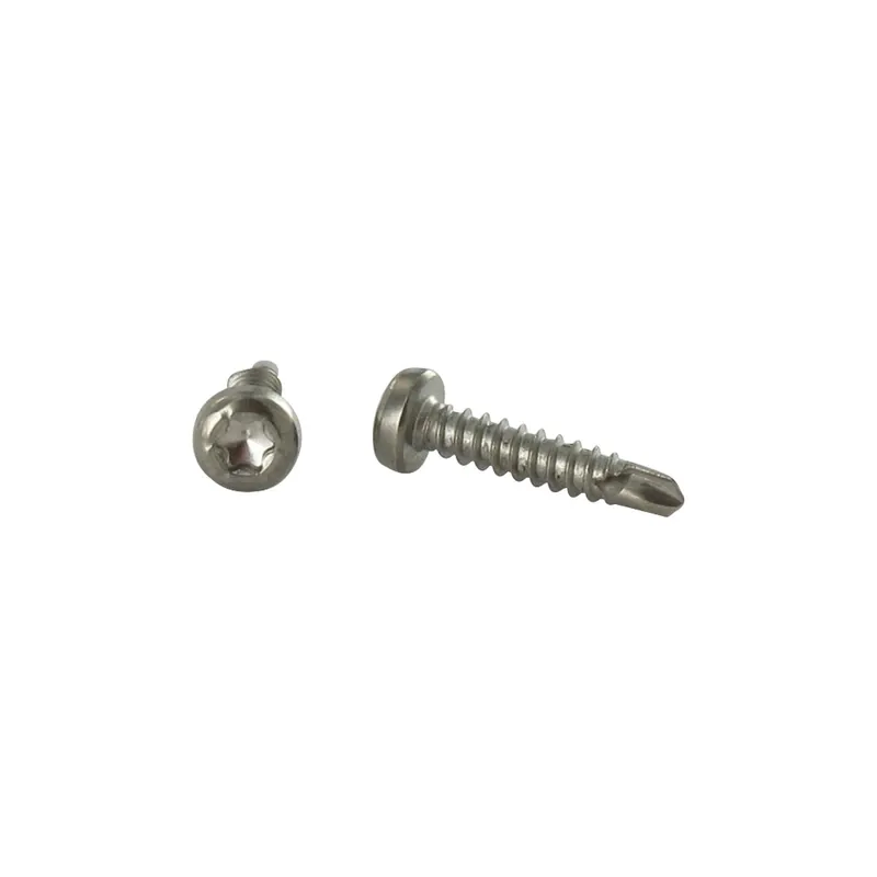 1 x Vis autoperceuse Tête cylindrique TC TORX T15 3.9X19 Inox A4