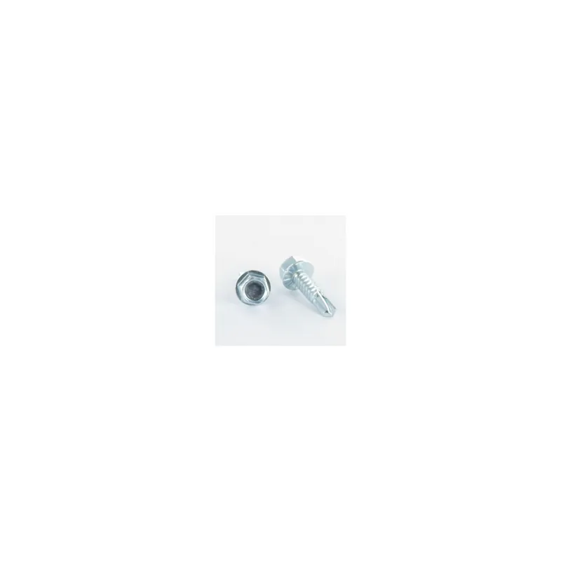 1 x Vis autoperceuse Tête hexagonale TH 4.8X19 Inox AISI 410