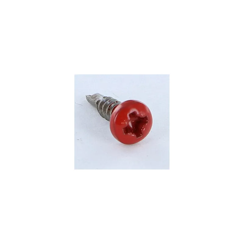 1 x Vis autoperceuse Inox A2 Tête cylindrique bombée TCB Pozi 3.5X13 RAL3013 ROU