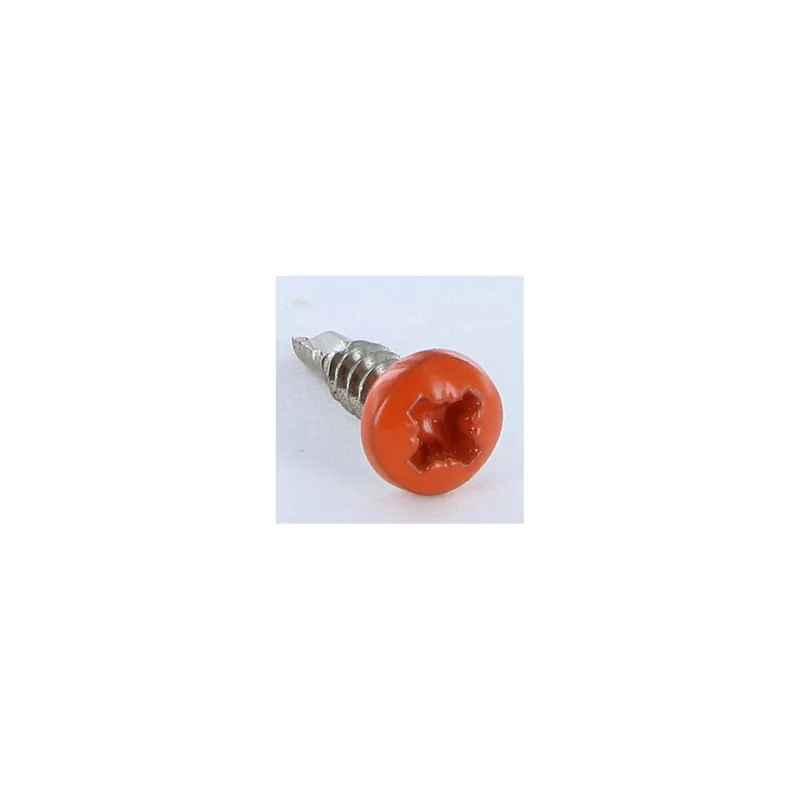 1 x Vis autoperceuse Inox A2 Tête cylindrique bombée TCB Pozi 3.5X13 RAL2001 ORA