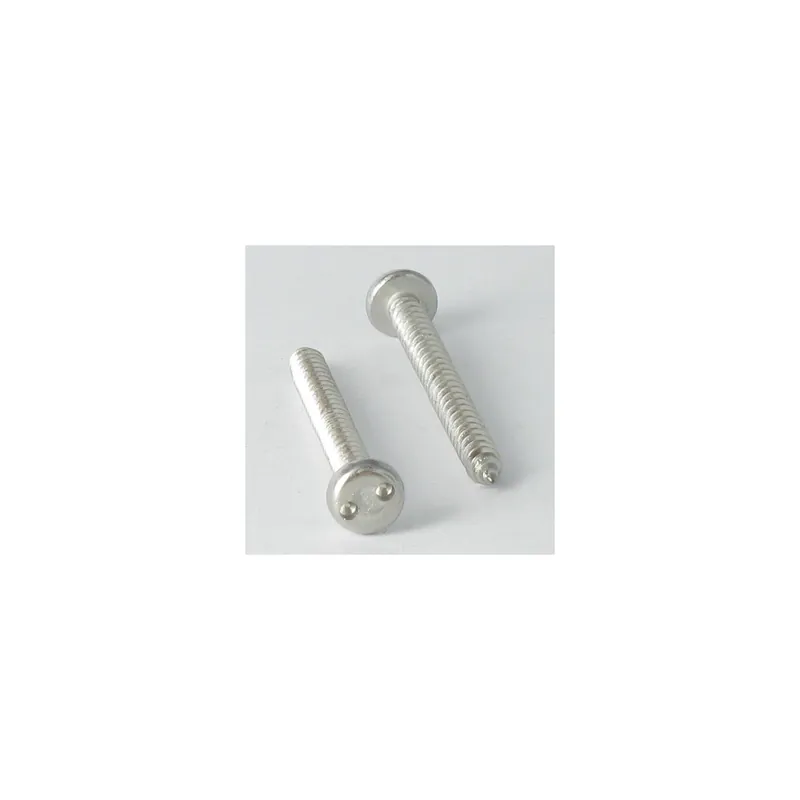 1 x Vis tôle Inviolable Tête cylindrique TC Snake eyes 4.2X25 Inox A2