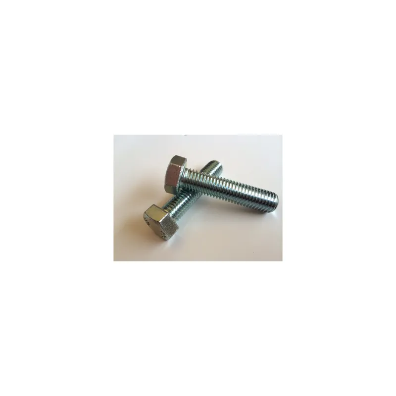 1 x Vis métaux Tête hexagonale TH Inox A4 80 M10X60
