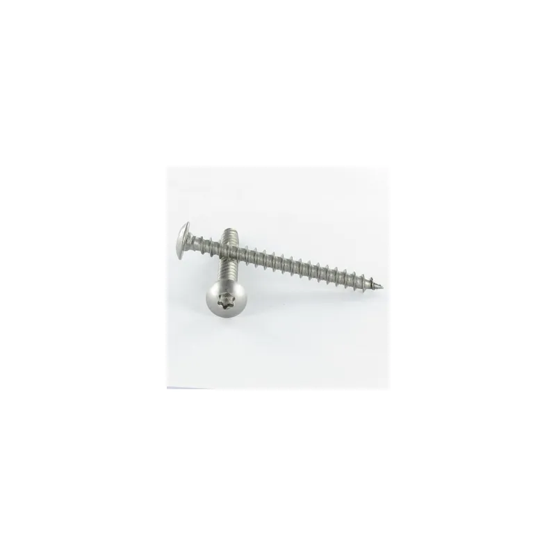 1 x Vis Penture 6X25 TORX T30 Filetage total Inox A4