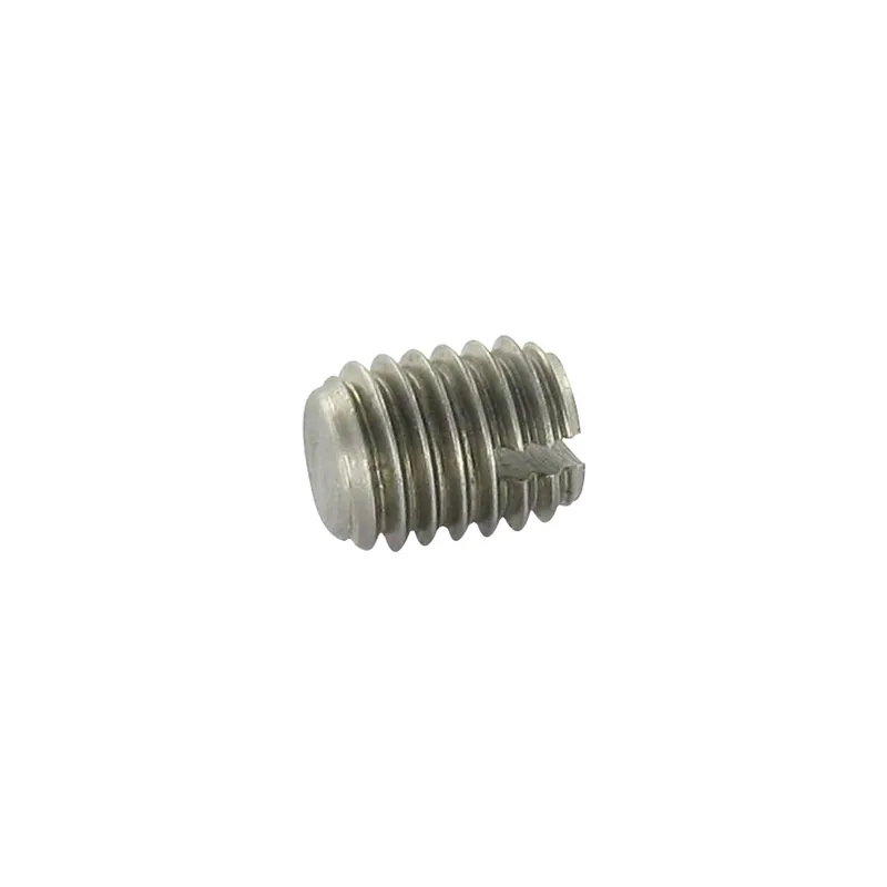 1 x Vis métaux Sans tête Fendue Bout téton Plate M3X6 Inox A2 microvis