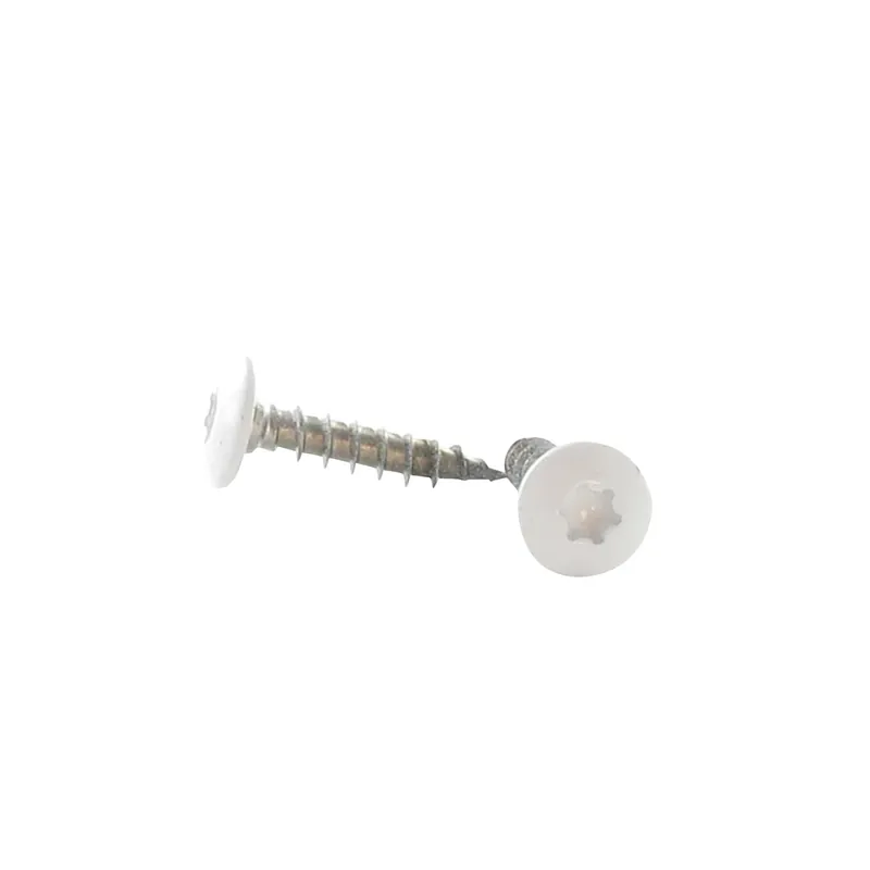 1 x Vis Penture 7X40 Filetée sur 38 TORX T30 Inox A2 RAL9010 blanc pur 80%BRIL