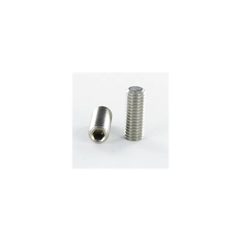 1 x Vis métaux Sans tête six pans creux (sthc) Inox A4 Clé de 4 HC4 Bout plat M8X40