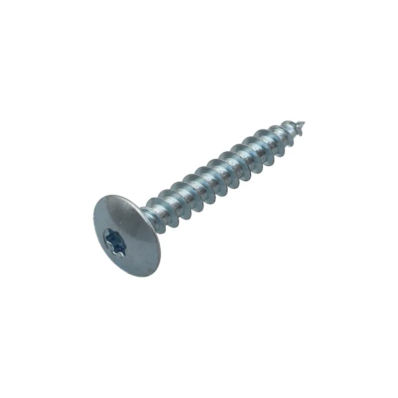 1 x Vis Penture 7X50 Filetage partiel TORX T30 Acier zingué