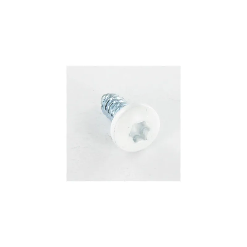 1 x Vis tôle Tête cylindrique TC Cranté 6.3X16 TORX T30 Acier zingué RAL9016 blanc signalisation