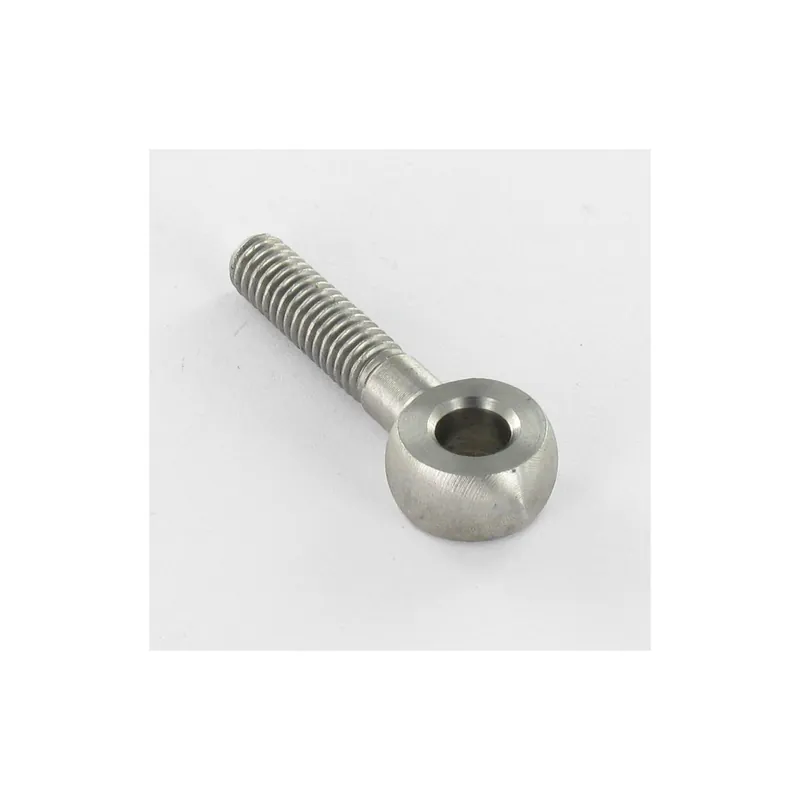 1 x Vis métaux à Oeil M8X100 Oeil 8 Inox A4