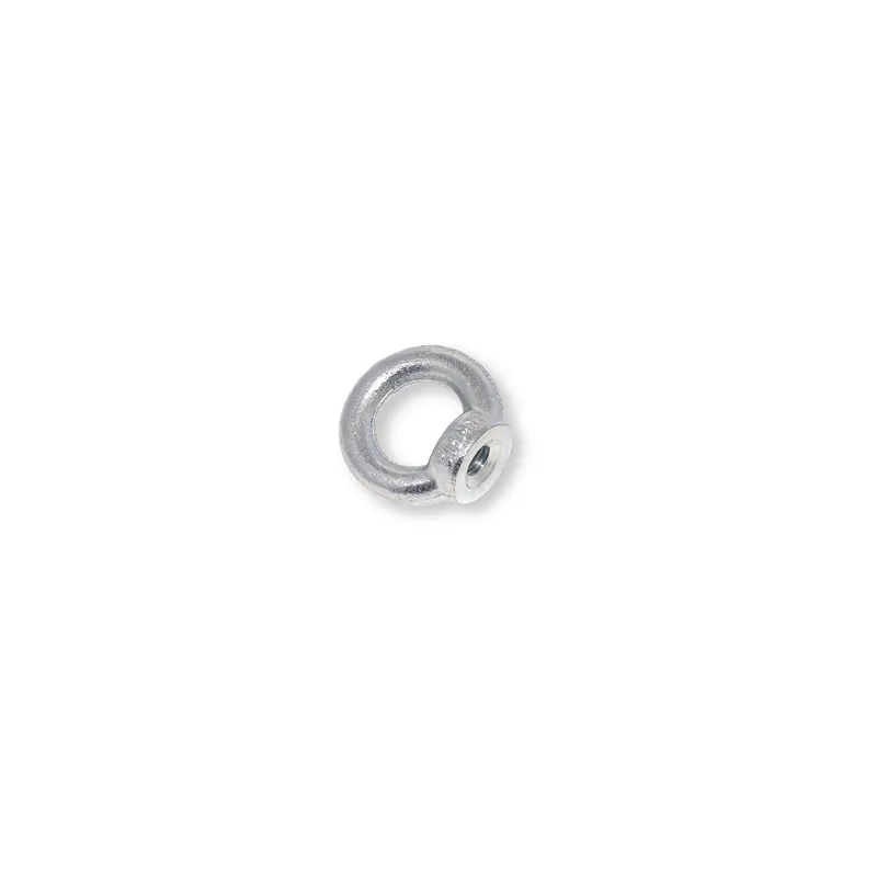 1 x Anneau de levage Femelle M24 Acier zingué