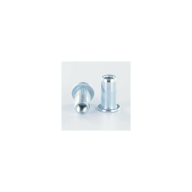 1 x Ecrou à sertir Tête plate TP M10X22 ACPC60 Acier zingué