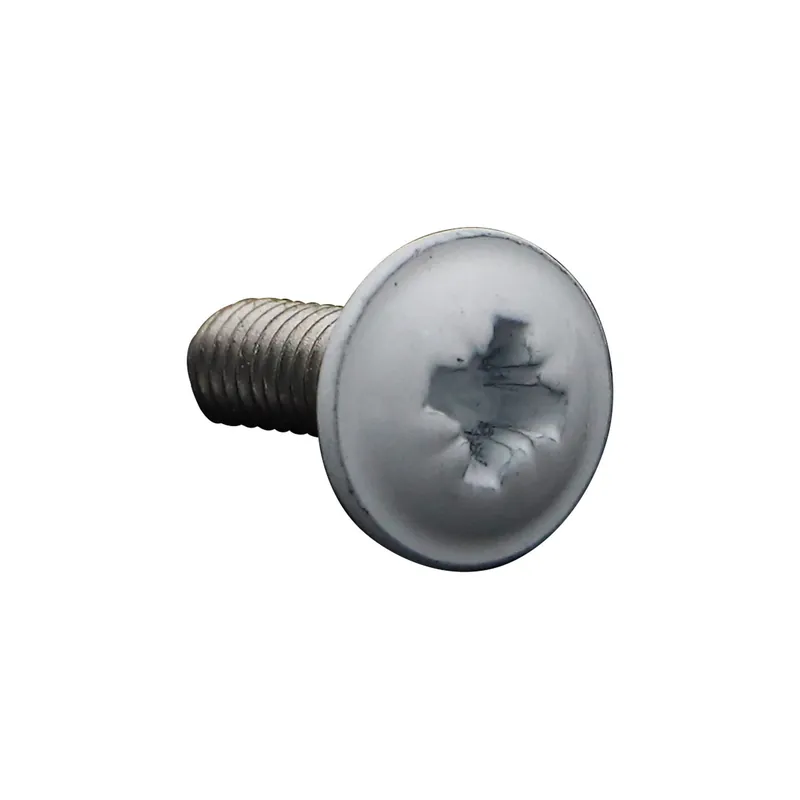 1 x Vis métaux Poelier Pozi M6X16 Inox A2 Laqué blanc RAL9016 blanc signalisation