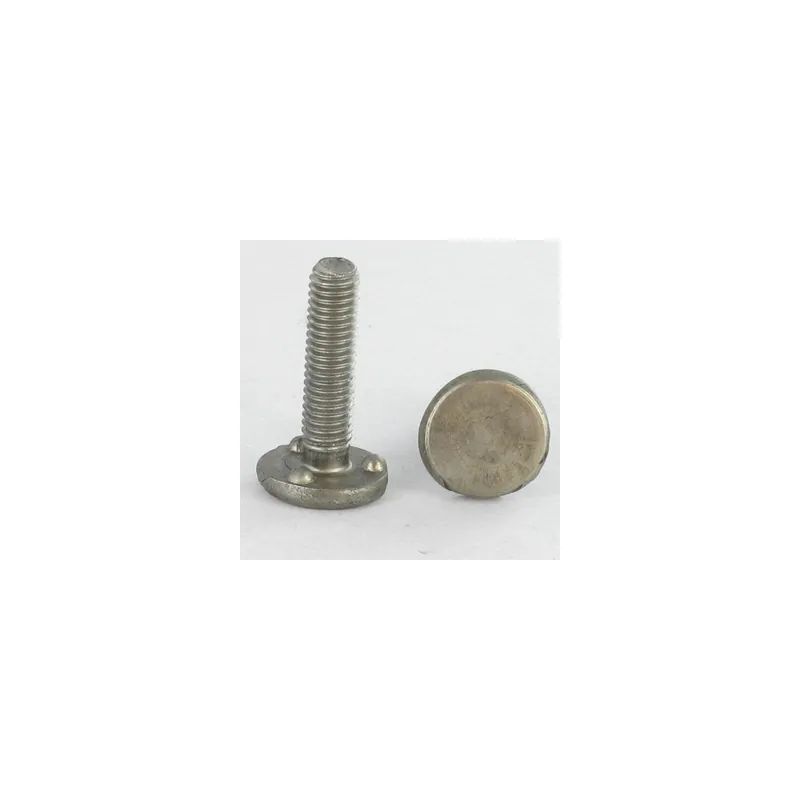 1 x Vis à souder M5X30 3 PICOTS Inox A2