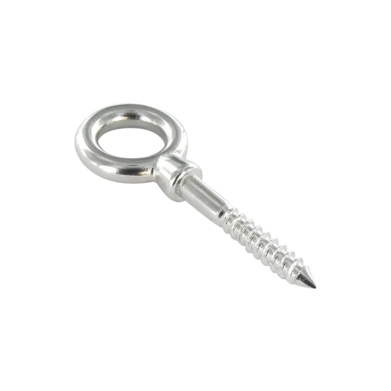 1 x Piton Bois Oeil 10X100 Oeil 22 Inox A4
