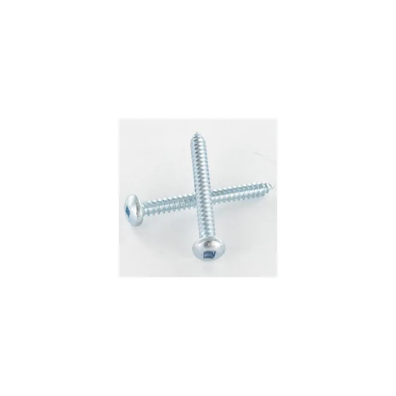 1 x Vis tôle tête cylindrique bombée large Carré 5.5X70 Acier zingué Empreinte carré 3