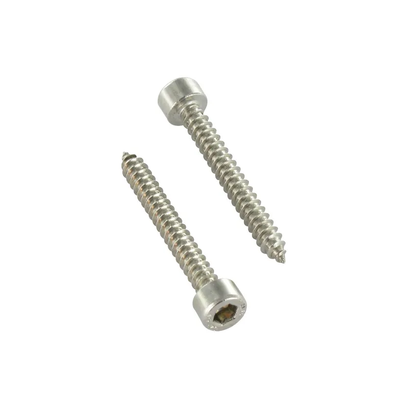 1 x Vis tôle CHC BTR Inox A2 4.8X38